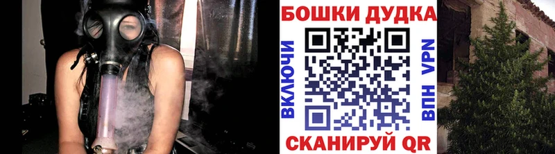 Конопля OG Kush  Купить закладки  Светлогорск 